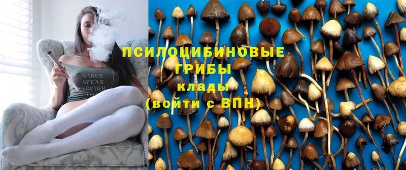 Псилоцибиновые грибы Psilocybine cubensis  дарнет шоп  Красноуральск 